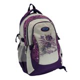 Leisure Laptop Backpack Sports School Bag