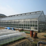 Polycarbonate Greenhouse Panels Polycarbonate Solid Sheet