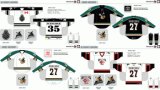 Customized American Hockey League Manitoba Moose Hockey Jersey