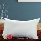 5-Star Hotel Pillow Wholesale Manufacturer