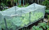 Insect Proof Net, Mesh Net, UV Net Anti-Insect Net Anti-Bird Net Agricultural Insect Net HDPE Net Anti-Insect Net