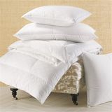 Sun Flower Printed Cushion (Yintex-D)
