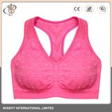 Fabric Plain Yoga Running Sport Bra