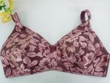 Wholesale OEM Plus Size Non-Padded Bra for Pakistan Women