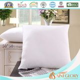 Classsic Popular Factory Price White Duck Goose Feather Down Cushion
