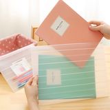 foshion plastic clear document folder file bag(PP bag)