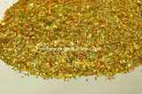 Bright Glitter Powder for Decoration (GT-004)