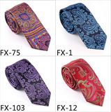 New Design Fashionable Novelty Paisley Necktie (Fx-75)