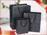 Garment Paper Bag Shopping Bag Promotion Paper Bag