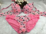 Factory Price Flower Print Underwear Bra Set (EPB308)