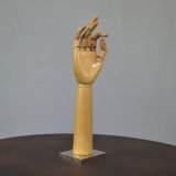Adjustable Height Wooden Display Hands with Metal Baseplate
