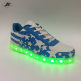Casual Shoes Sport Shoes Light Shoes LED Shoes for Men Women Kid (1088#)