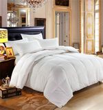 Fashion Comfortable Quilting Comforter (CE/OEKO-TEX, BV, SGS)