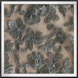 Nylon Ground Lace Mesh Embroidery Lace Polyester Embroidery Lace