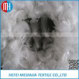 High Quality Washed Sale of Feathers Wholesale