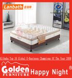 Alibaba Hot Selling Cheap Sponge Mattress
