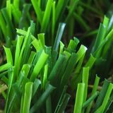 Grass Indoor Artificial Carpet Outdoor Carpet