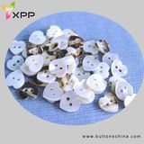 2 H Heart Shape White Shell Button