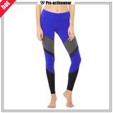 Whoelsale Quick Dry Fashion Women Mesh Yoga Pants Leggings