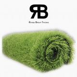 50mm High Quality Field Landscaping Lawn Carpet Football Artificial Turf /Synthetic Grass