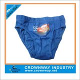 Cute Cartoon Boys Bikini Briefs