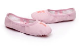 Professional Ballet Shoes Slippers Women Girls Ballet Ballet Dance Shoe
