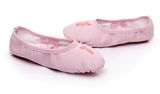 Professional Ballet Shoes Slippers Women Girls Ballet Ballet Dance Shoe