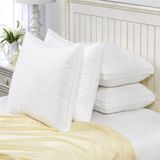 China Supplier Wholesale Duck Feather & Duck Down Pillow