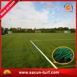 Biggest Manufacturer Synthetic Grass Carpet for Soccer