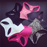 Fitness Yoga Gym Wear Women Ladies Wholesale Sports Bra