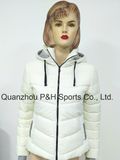 OEM Service Outdoor Womens Hooded Winter Softshell Padded Clothes