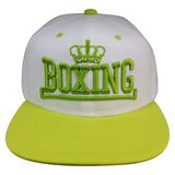 Hot Sale Custom Cap with Logo Sk1630