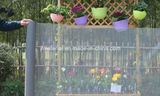 Fiberglass Insect Window Screen/Mosquito Mesh/Fly Screen (REACH Certification)
