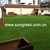 Artificial Grass Carpet for Your Family (MSD-40)