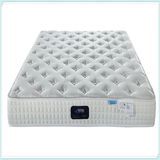 Compressed Pocket Spring Mattress-U20