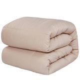 Popular Twin Size Down Alternative Microfiber Duvet
