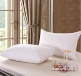 Good Quality Microfiber Cover Polyester Filling Pillow