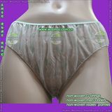 Nonwoven Ladies Briefs