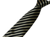 Fashion Necktie/Neckwear