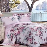 Hot 100% Cotton High Quality Bedding Set for Home