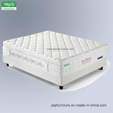 Plush Individual Pocket Spring with Visco Foam and Latex Mattress (HP101)