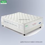 Plush Individual Pocket Spring with Visco Foam and Latex Mattress (HP101)