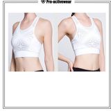 Dry Fit Sport Bra Running Sport Bra