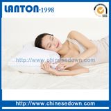 Wholesale Cotton Duck/Goose Feather Down Cushions/Pillows Insert