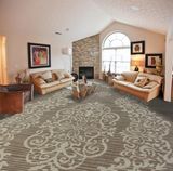 Customized-M07 Rolled 1/8 Cut &. Loop Pile Full Width Repeat Nylon PA6 Carpet