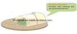 45X 40 Mesh Anti-Insect Net