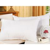 3 Chamber Us Ultra-Fresh Natural Goose Down Pillow