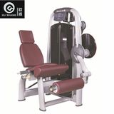 Pin Loaded Leg Extension Machine Sm8017 Gym Fitness Equipment