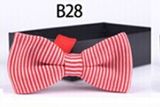 New Design Fashion Men's Knitted Bowtie (B28)