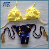 Lovely Two Piece Fashion Bikini with Cheap Price